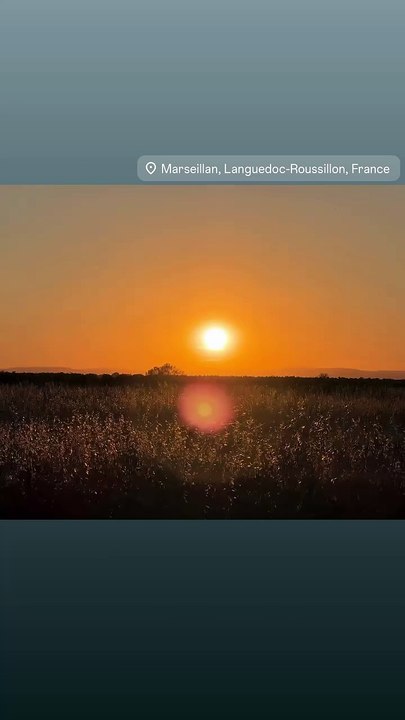 Laeticia Hallyday, Instagram