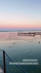 Laeticia Hallyday, Instagram