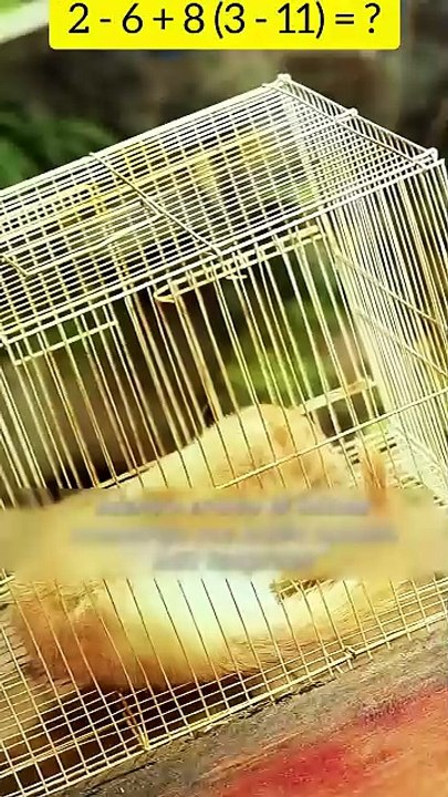 He Killed the Weasel They Saved—Then the Real Horror Began #shorts #cdrama #kdrama