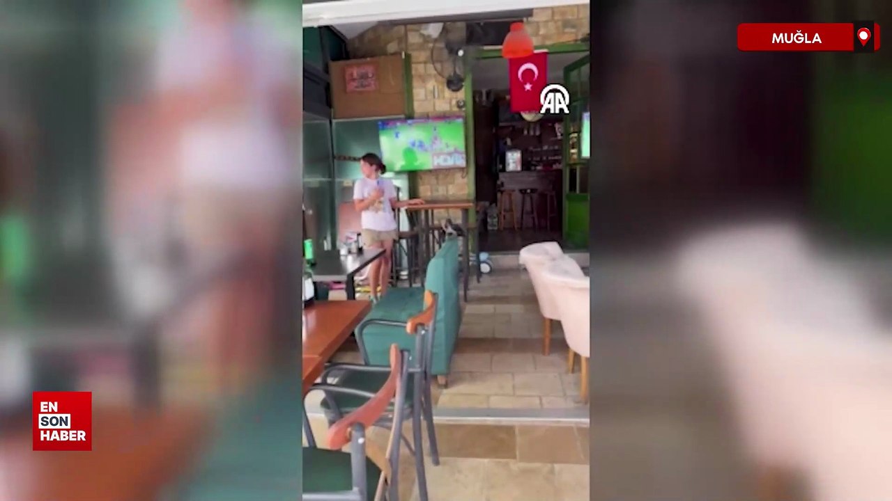 Bodrum’da sıcaktan bunalan karga kafede su içip yiyecek yedi