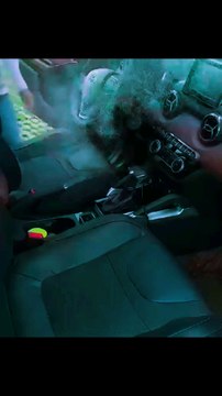 Car Cleaning | Cleaning services