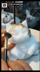 "Boy Turns Cat Into Living Art! 😻✨ Unbelievable Pet Transformation #CatArt #PetMakeover #CreativeBoy #ViralCatVideo"