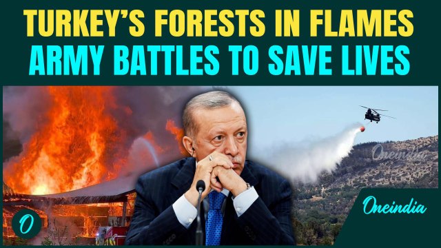 Turkey BURNS As MASSIVE Fire Tears Through Sakarya Mountains | 100 Evacuated, Army Battles Wildfire