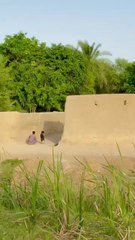 Pakistani village culture