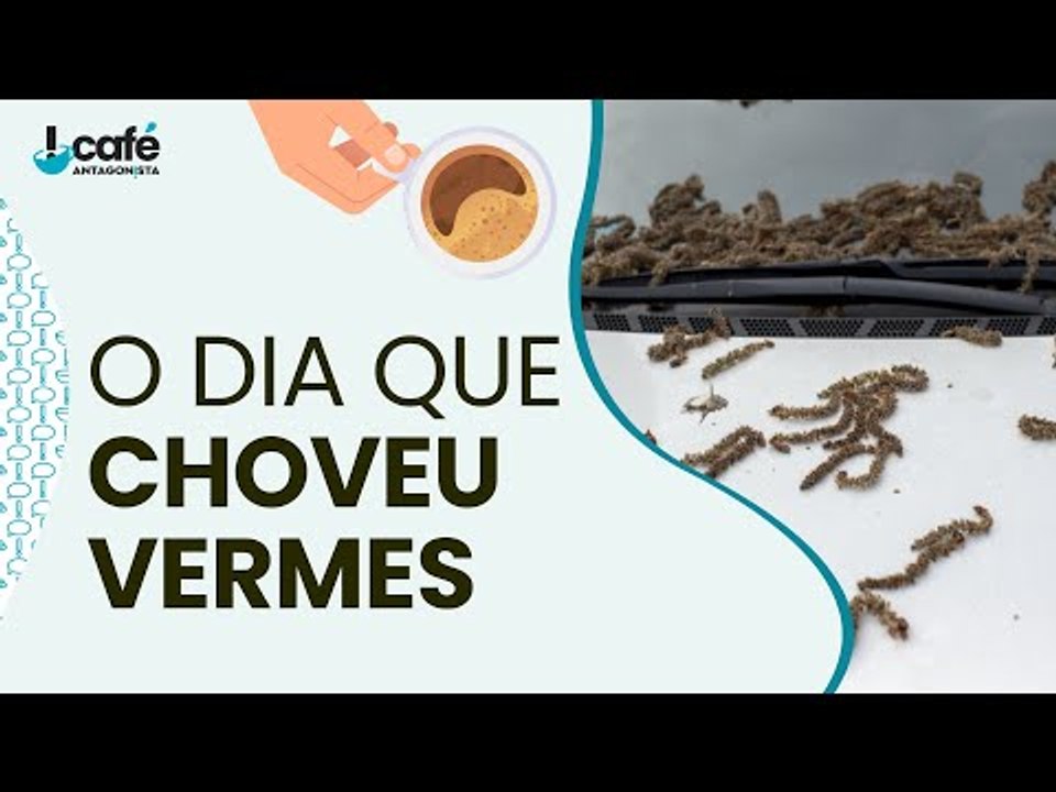 O dia que choveu vermes!
