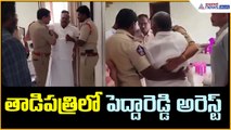 తాడిపత్రిలో పెద్దారెడ్డి అరెస్ట్ | Kethireddy Peddareddy Arrest | Asianet News Telugu