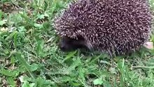 What a unique visitor :)