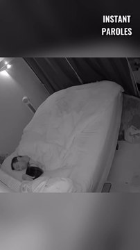 Ces chiens réclament l’affection de leurs propriétaires en plein milieu de la nuit