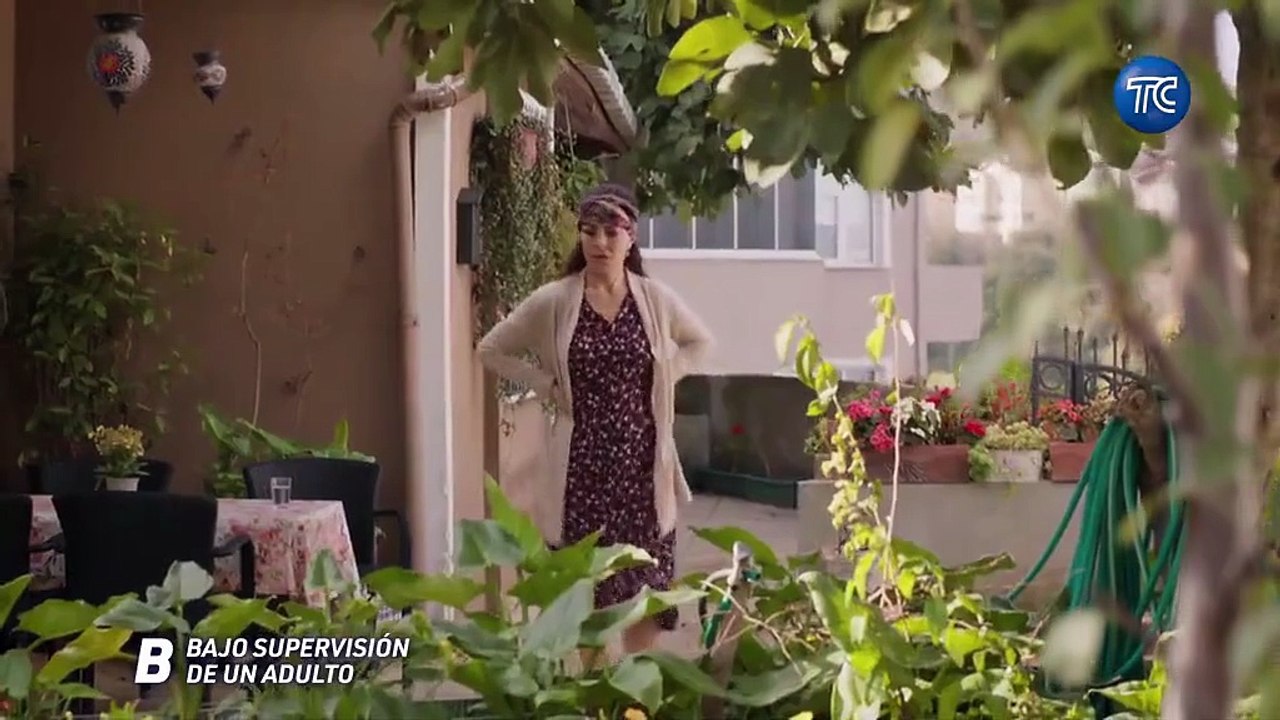 49. Destino Roto (Toprak Ile Fidan), en español