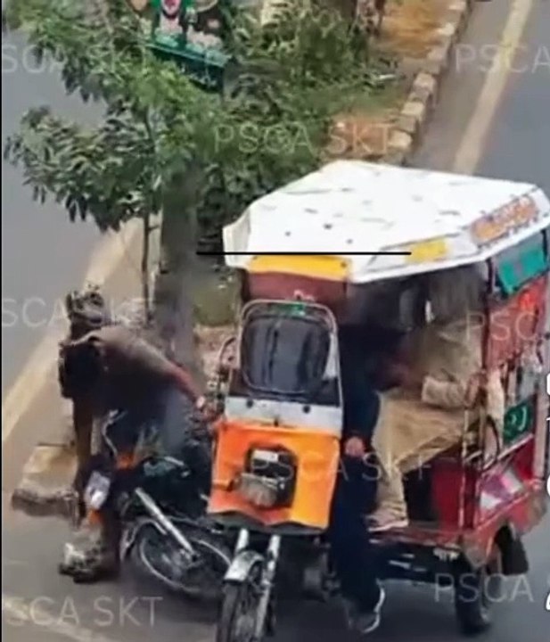 Entertainment#Videos funny#shortmove#shortviral#s