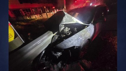 충남 서산에서 고라니 피하려다 가드레일 '쾅' / YTN