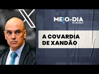 Alexandre de Moraes: "tigrão" para bloquear o X e "tchutchuca" para liberar