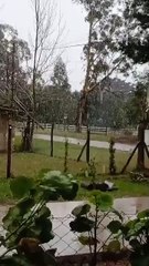 Nieve en la costa atlántica