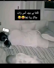 funny 😁 baby funny moment on the near his mom🤔