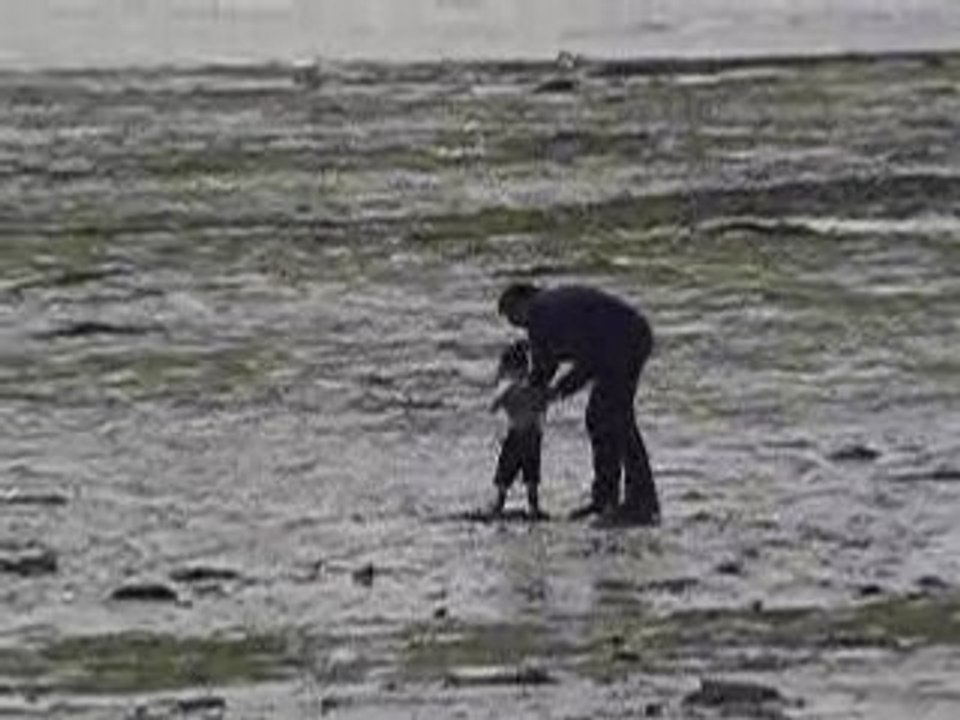 Alice sauvee des sables mouvants par klaus