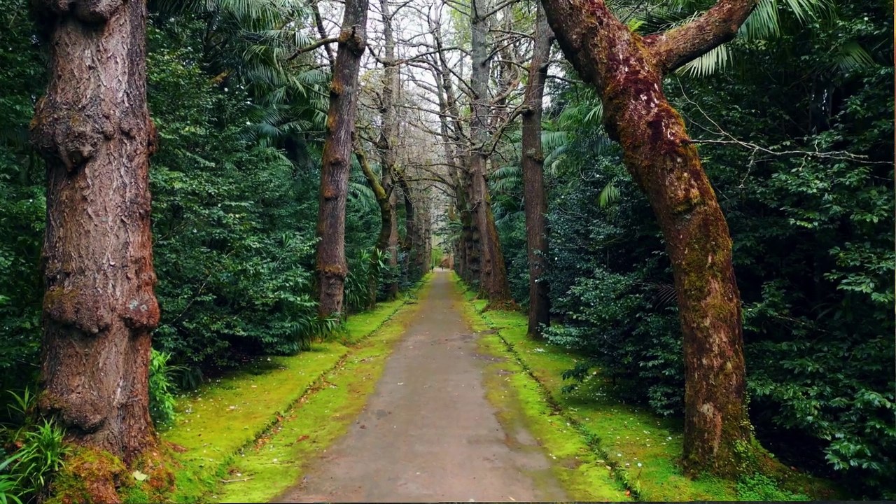 Caminho Certo Só Existe Um!