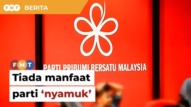 Bersatu tak dapat manfaat jika gabung parti ‘nyamuk’, kata penganalisis