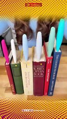 Tips Trick Today, Senin 30 Juni 2025