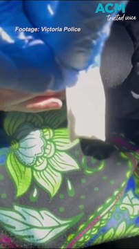 Chapel Street crime crackdown brings bag searches, sniffer dogs and arrests