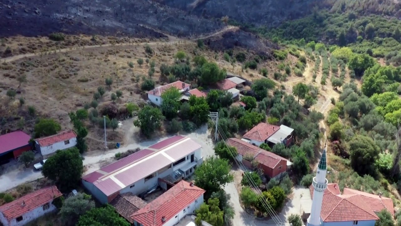 Manisa'nın Akhisar ilçesinde çıkan orman yangınına müdahale sürüyor