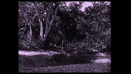 Tarzan a zlatý lev | movie | 1927 | Official Trailer