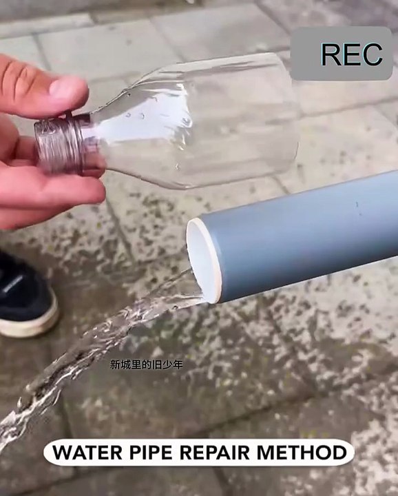 short video