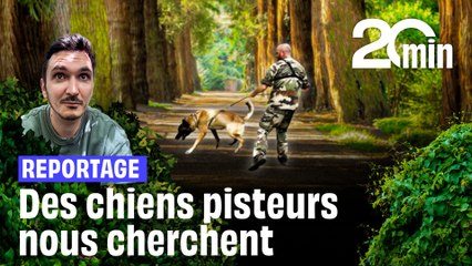 On se fait pister par des chiens de la gendarmerie, caché dans une forêt