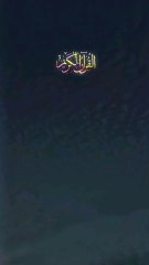 Quran | Quran Tilawat | islam | Muharram#islam #quran #shorts  #dua #muharram #Hussain #trending #viral