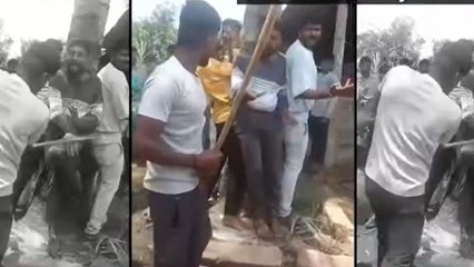 Cow protectors assaulted in Karnataka's Belagavi, BJP slams attack