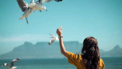 Os animais mais fofos do mundo N•51