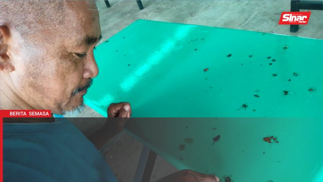 Masalah najis burung: PBT tambah baik medan selera