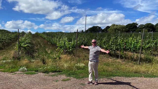 Wine production at Itasca Wines/ Penn Croft Vineyards in Crondall