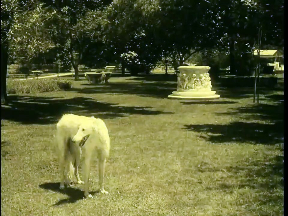 The Intrigue (1916) - Full movie