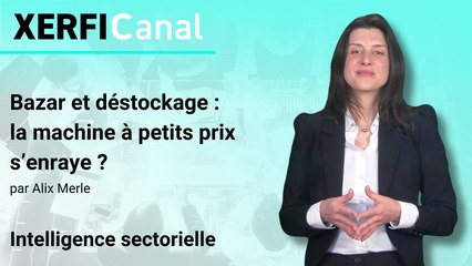 Bazar et déstockage : la machine à petits prix s’enraye ? [Alix Merle]