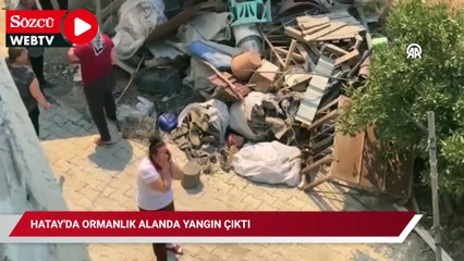Hatay'da orman yangını