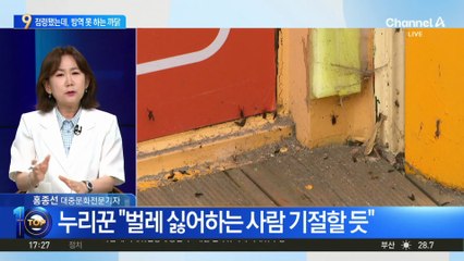 러브버그 대량 발생…방역 못 하는 까닭은?