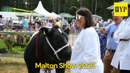 Malton Show 2025: Livestock classes and a raft of entertainment and events