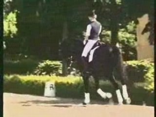 Horses-Everytime We Touch