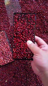 5 Shocking Facts About Your Smartphone 😱 You Never Knew! #amazingfacts #facts #shorts #shortvideo