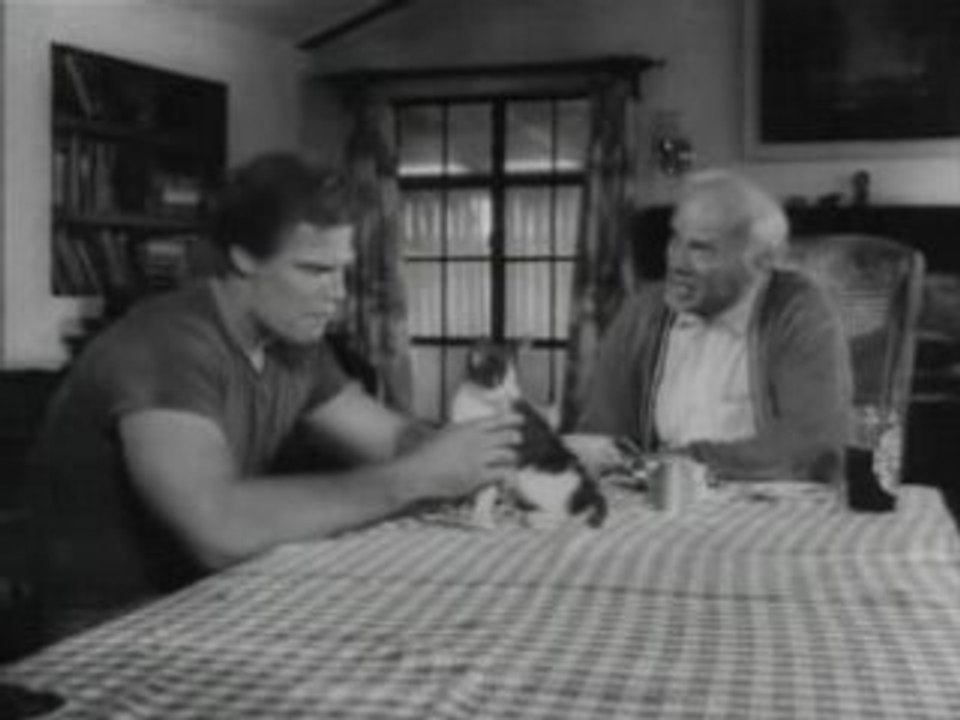 Faster, Pussycat! Kill! Kill! "Trailer" Russ Meyer