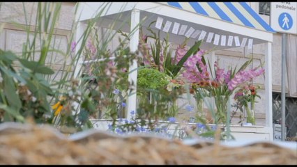 "Il Sentiero del Miele": a Como nasce un alveare urbano