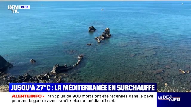 Canicule: la biodiversité marine directement menacée en Méditerranée à cause des fortes chaleurs