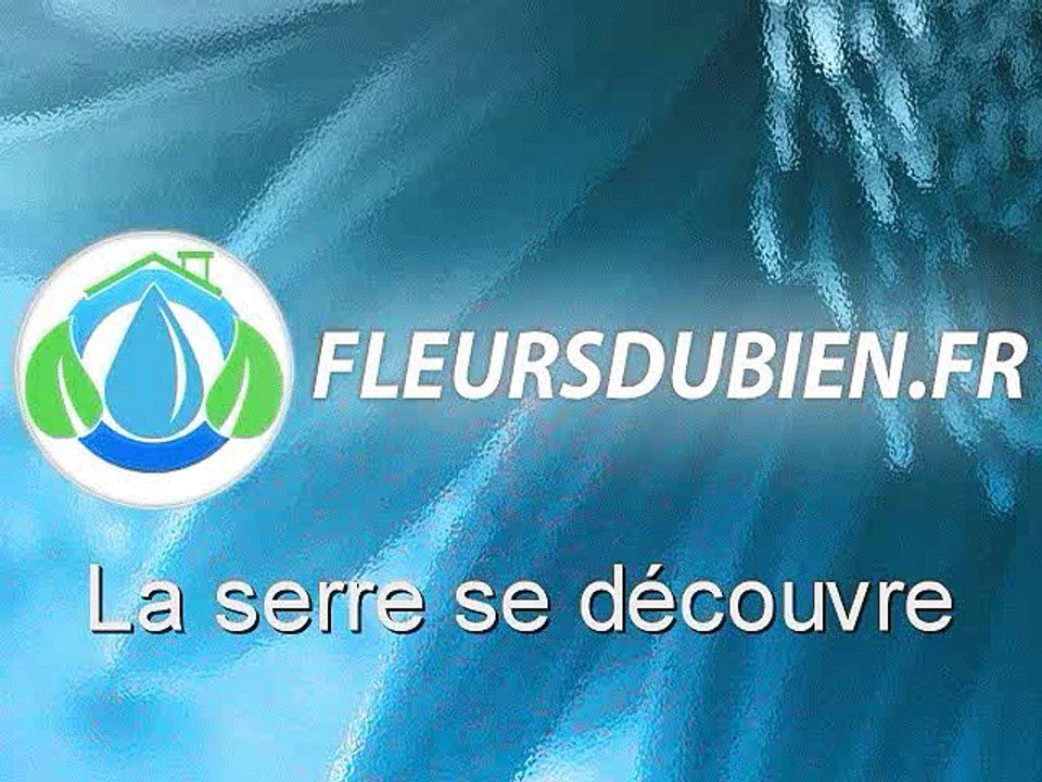 La serre de fleursdubien se découvre