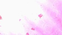 桜蘭高校ホスト部 OP