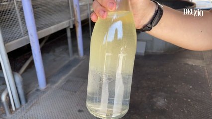 Nyons - Les secrets de la distillation