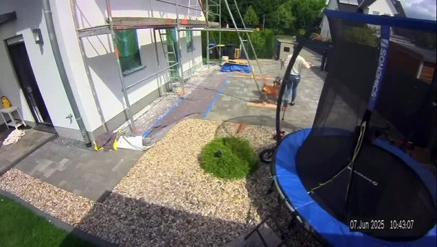 Boxer Dog Runs Into Woman Carrying Trash Bag and Spills Waste in Backyard