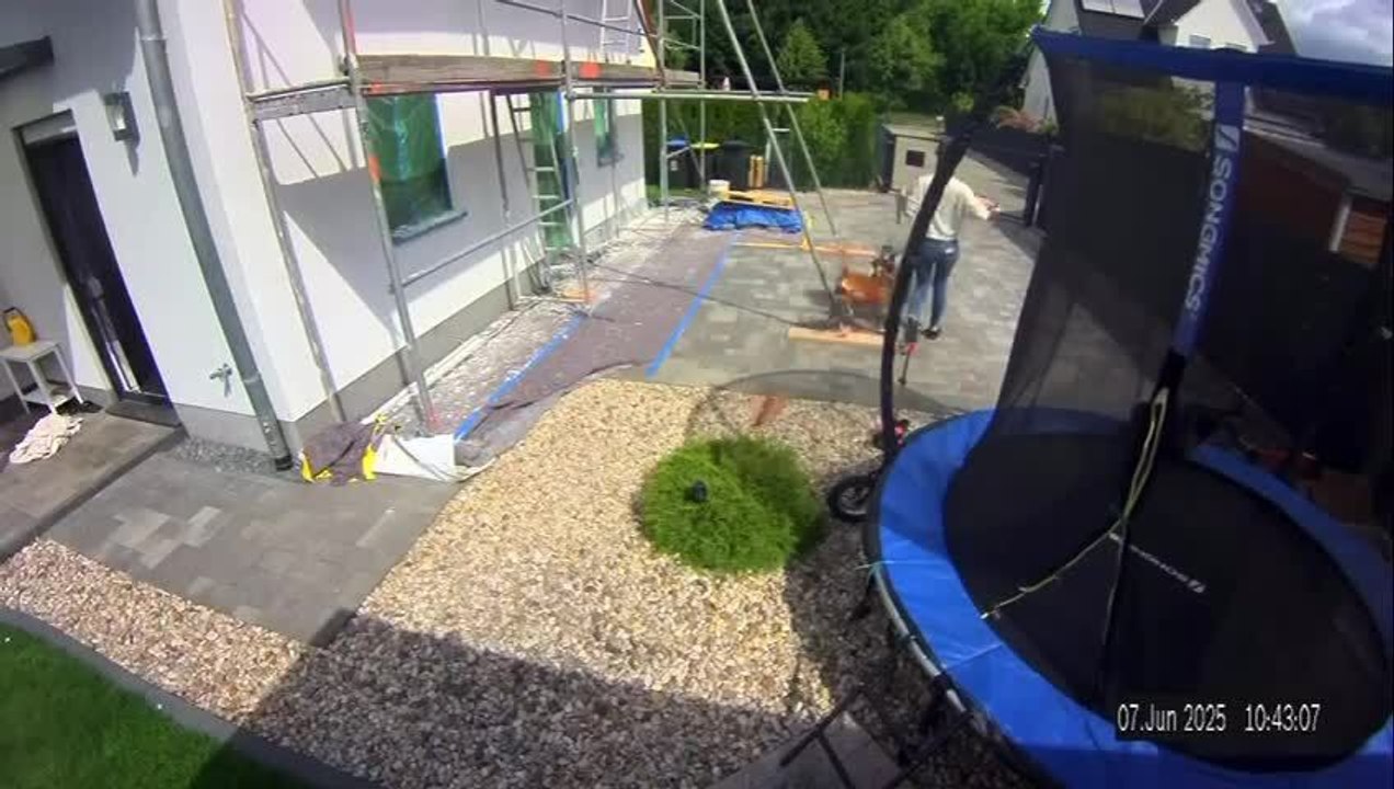 Boxer Dog Runs Into Woman Carrying Trash Bag and Spills Waste in Backyard