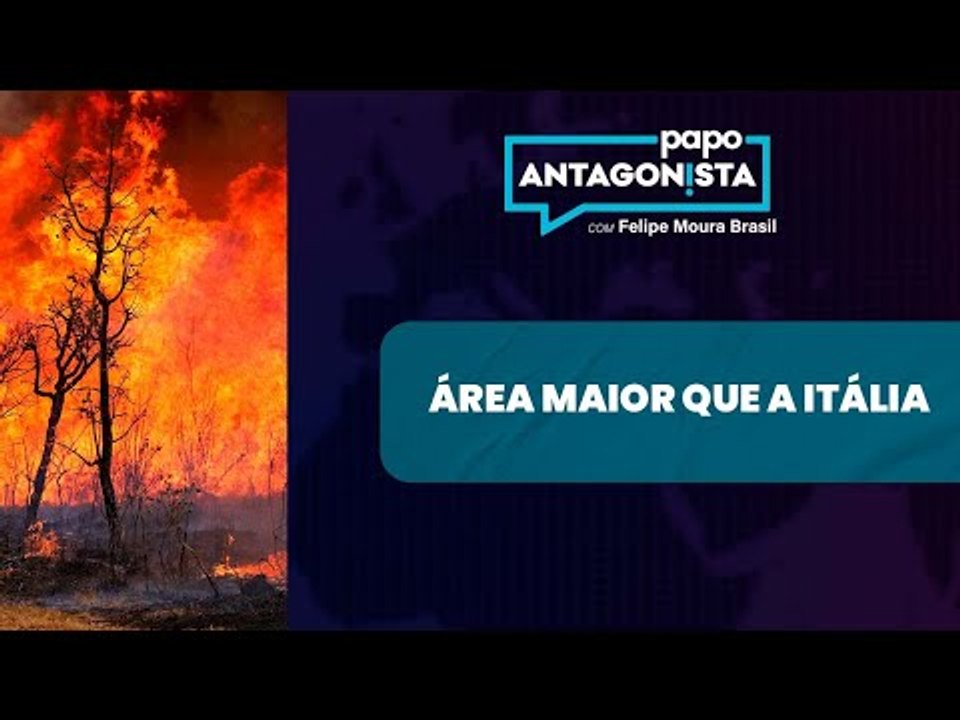 Queimadas do ‘amor’ avançam com Lula