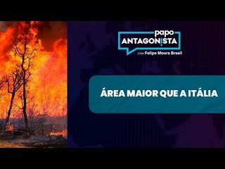 Queimadas do ‘amor’ avançam com Lula