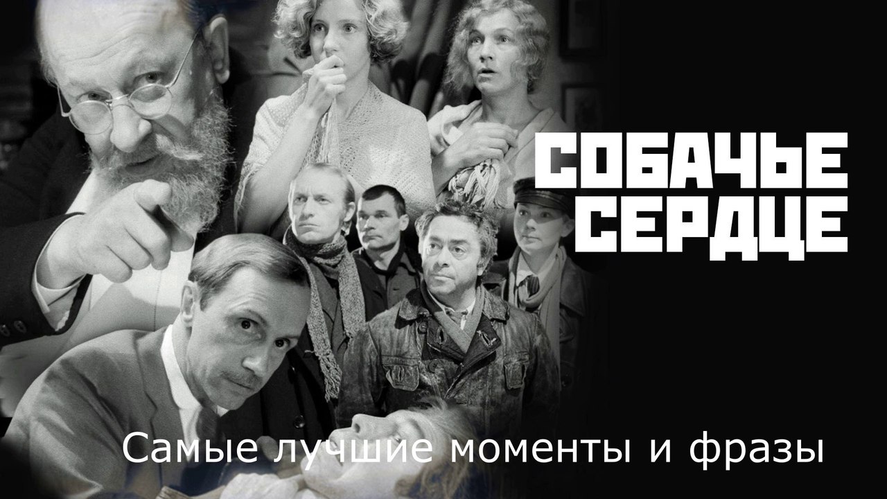 "Собачье сердце". Самые лучшие моменты и фразы из фильма